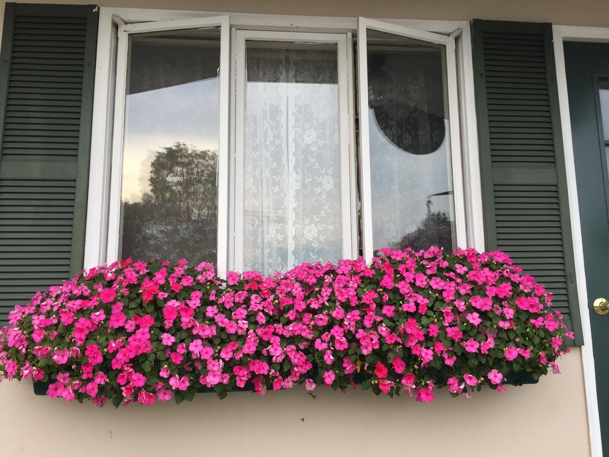 Swiss Inn Londonderry المظهر الخارجي الصورة